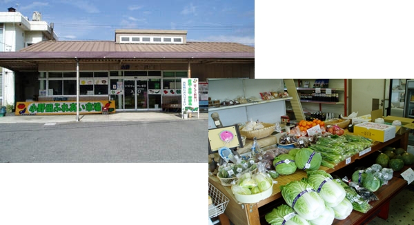 店舗写真01